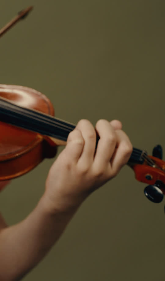Violin